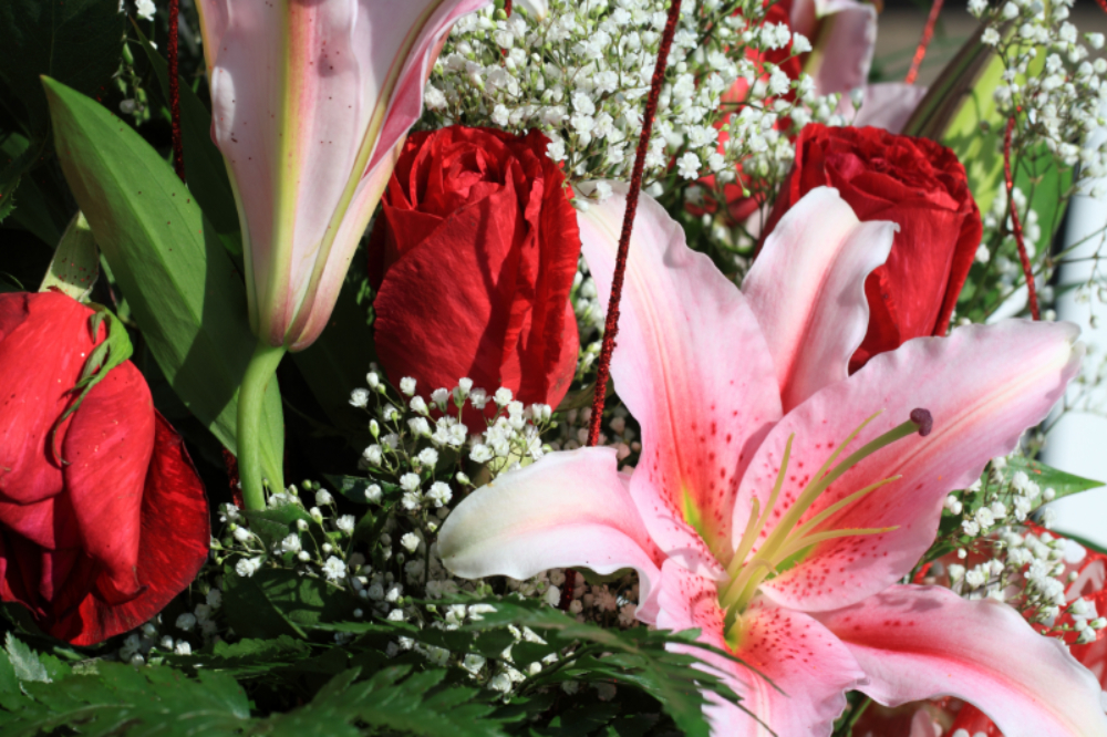 apology flowers for your girlfriend